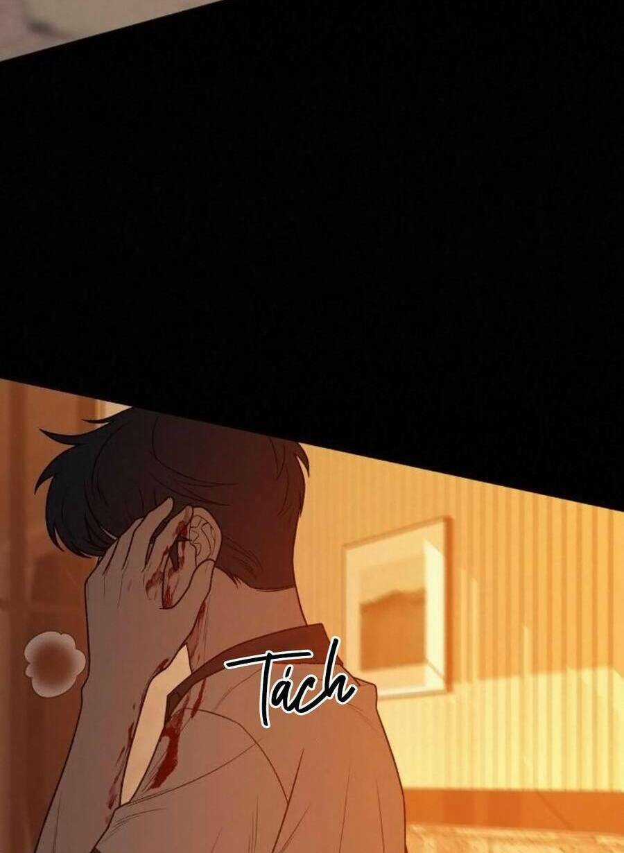 Kế Hoạch Tình Yêu Trong Sáng Chapter 40 trang 13