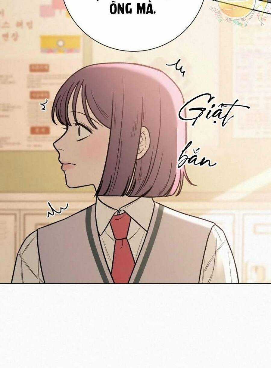 Kế Hoạch Tình Yêu Trong Sáng Chapter 40 trang 134