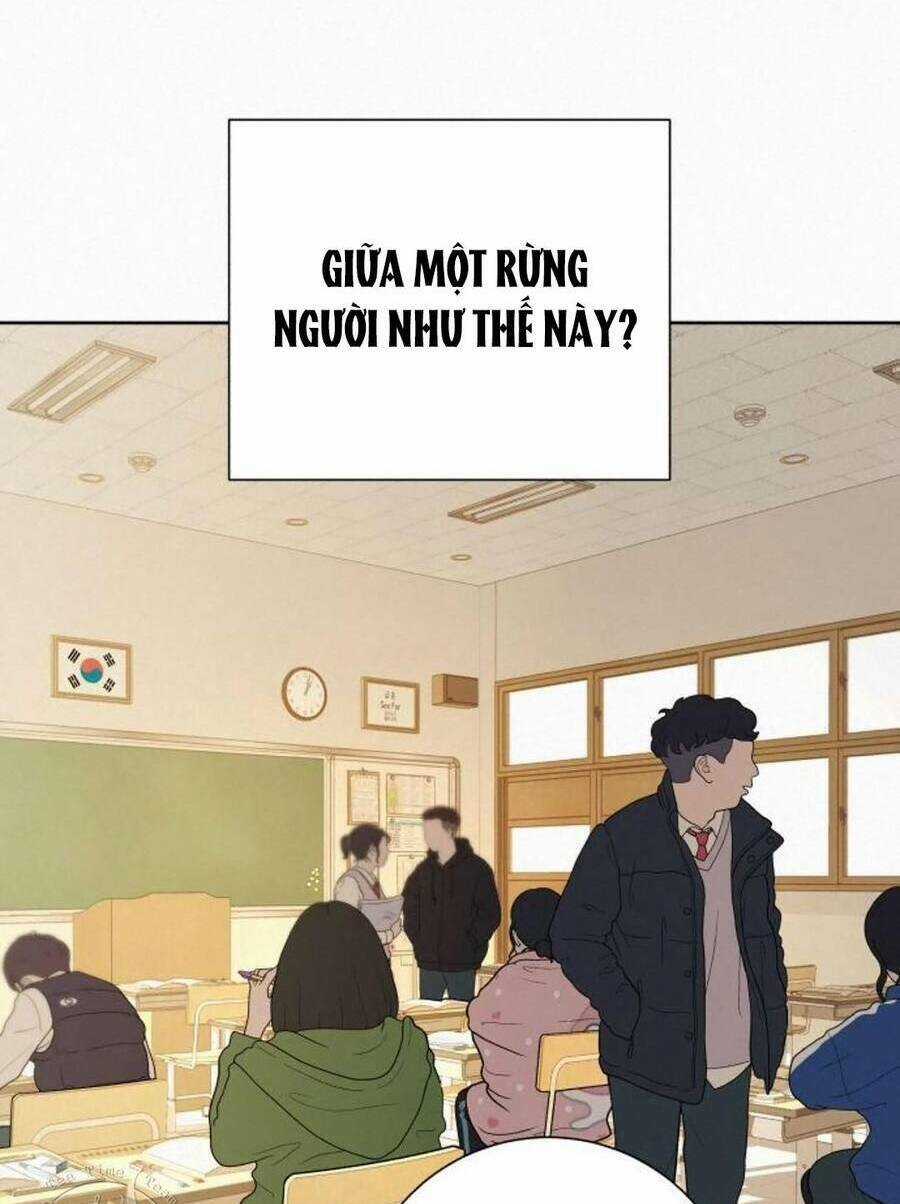 Kế Hoạch Tình Yêu Trong Sáng Chapter 40 trang 37