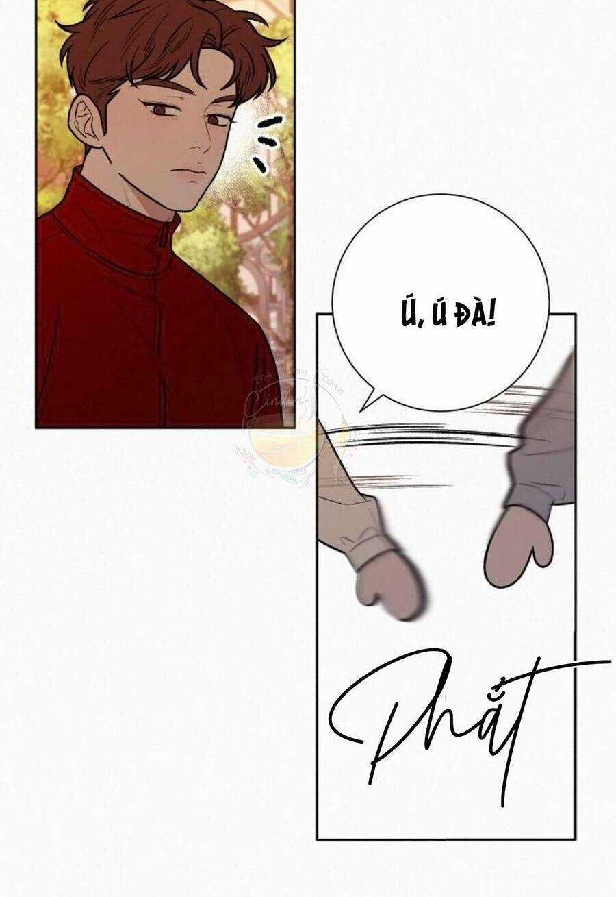 Kế Hoạch Tình Yêu Trong Sáng Chapter 40 trang 95