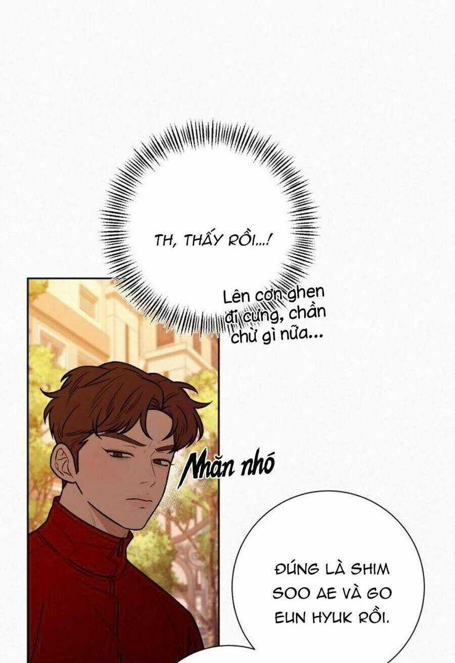 Kế Hoạch Tình Yêu Trong Sáng Chapter 40 trang 96