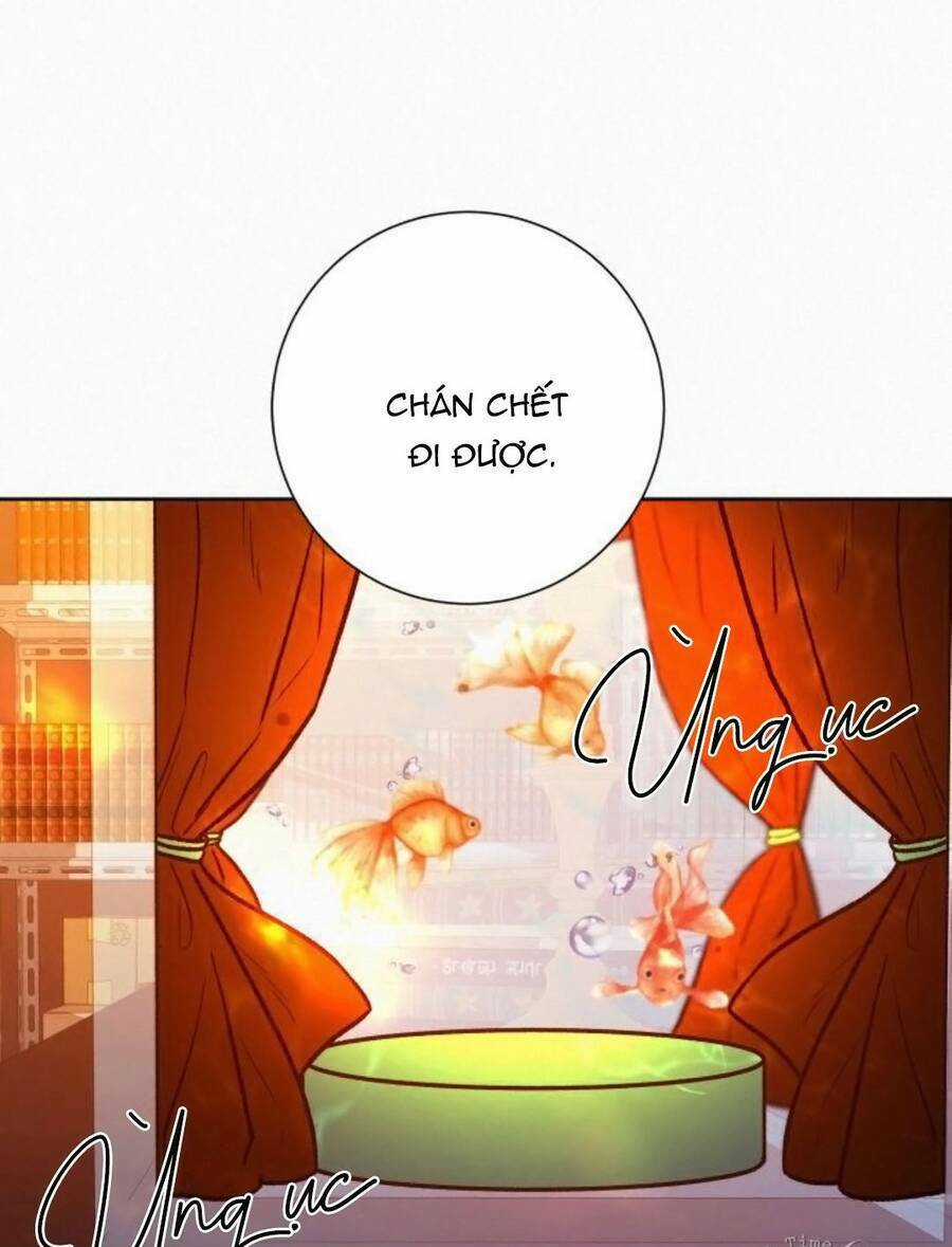 Kế Hoạch Tình Yêu Trong Sáng Chapter 41 trang 1