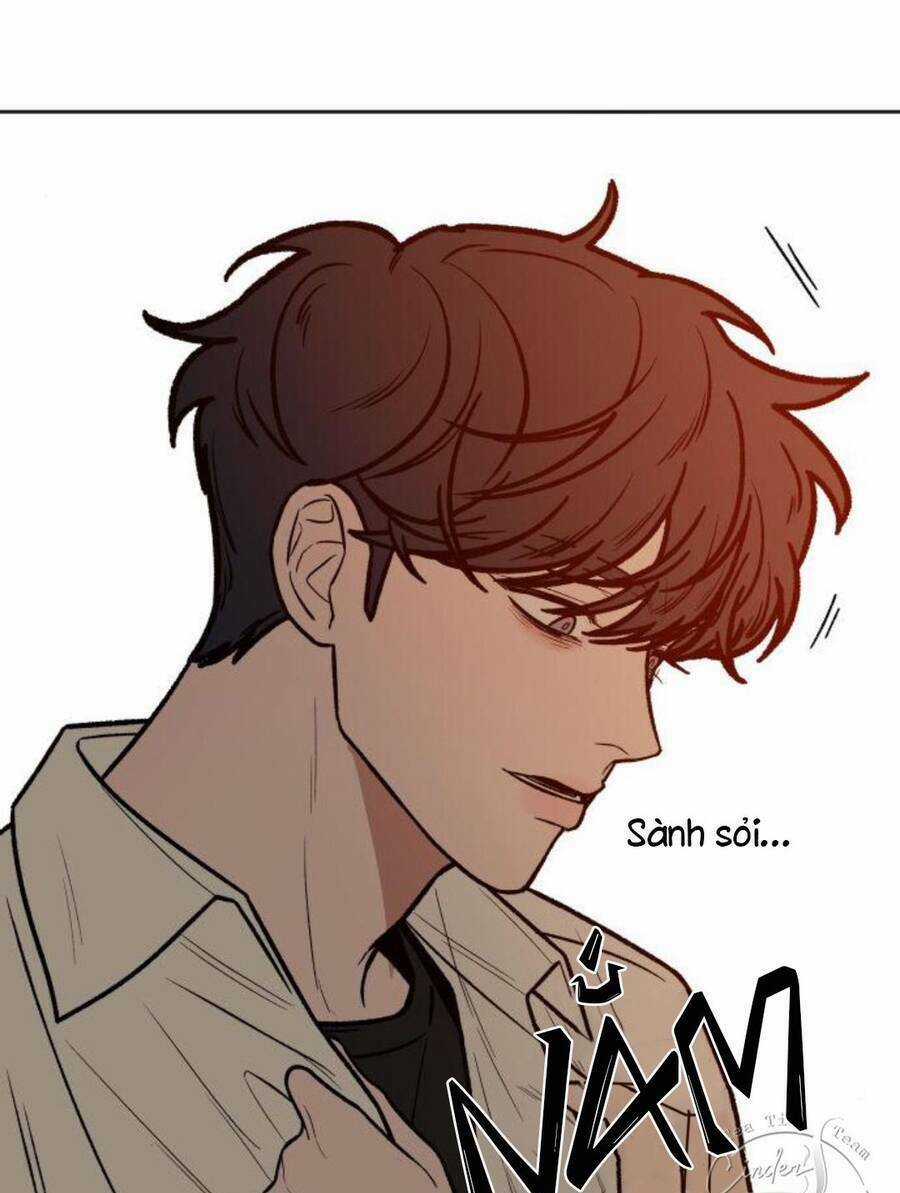 Kế Hoạch Tình Yêu Trong Sáng Chapter 41 trang 115