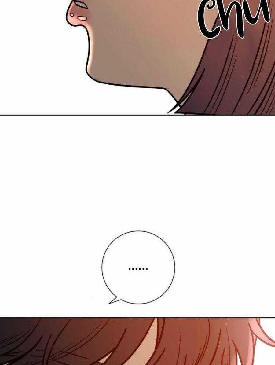 Kế Hoạch Tình Yêu Trong Sáng Chapter 41 trang 118