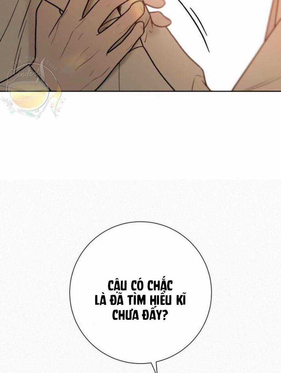 Kế Hoạch Tình Yêu Trong Sáng Chapter 41 trang 120