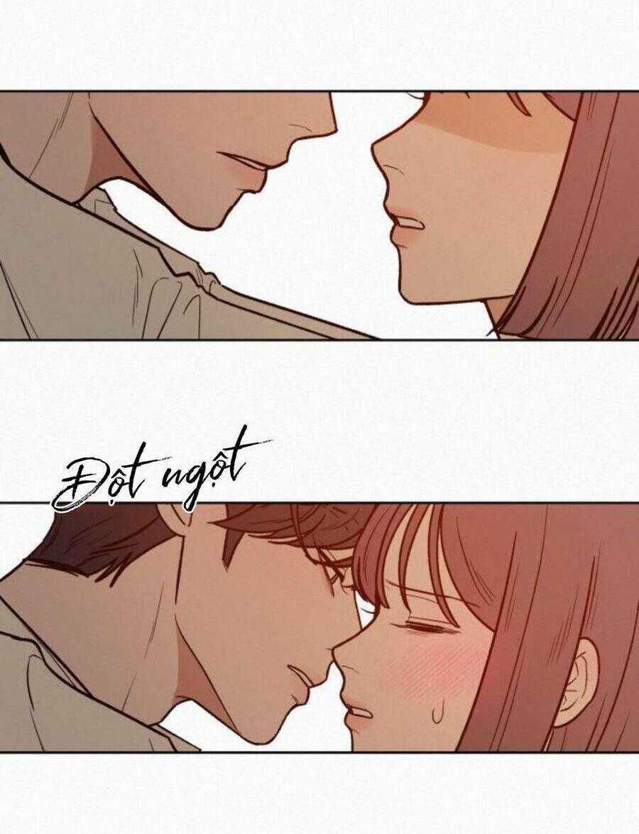 Kế Hoạch Tình Yêu Trong Sáng Chapter 41 trang 128