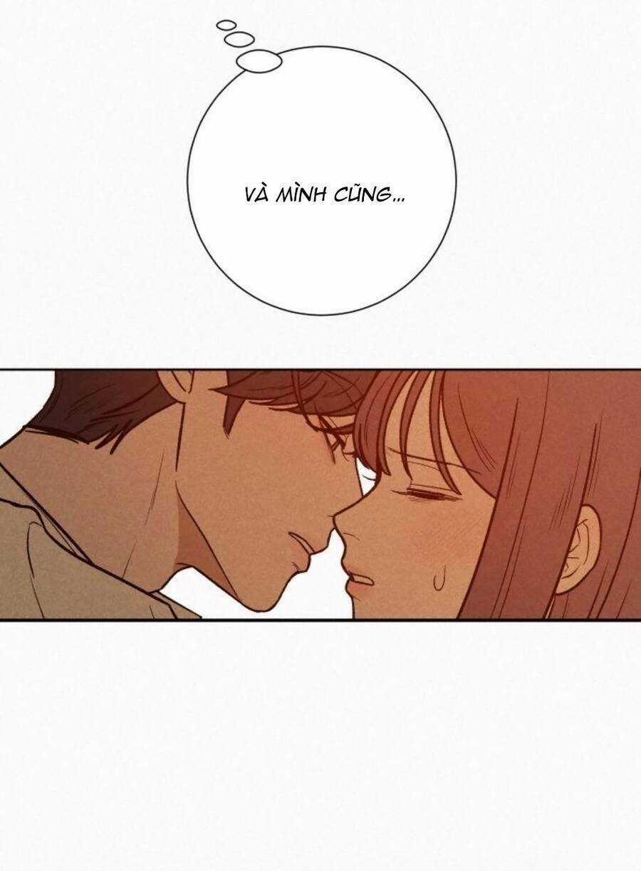 Kế Hoạch Tình Yêu Trong Sáng Chapter 41 trang 137