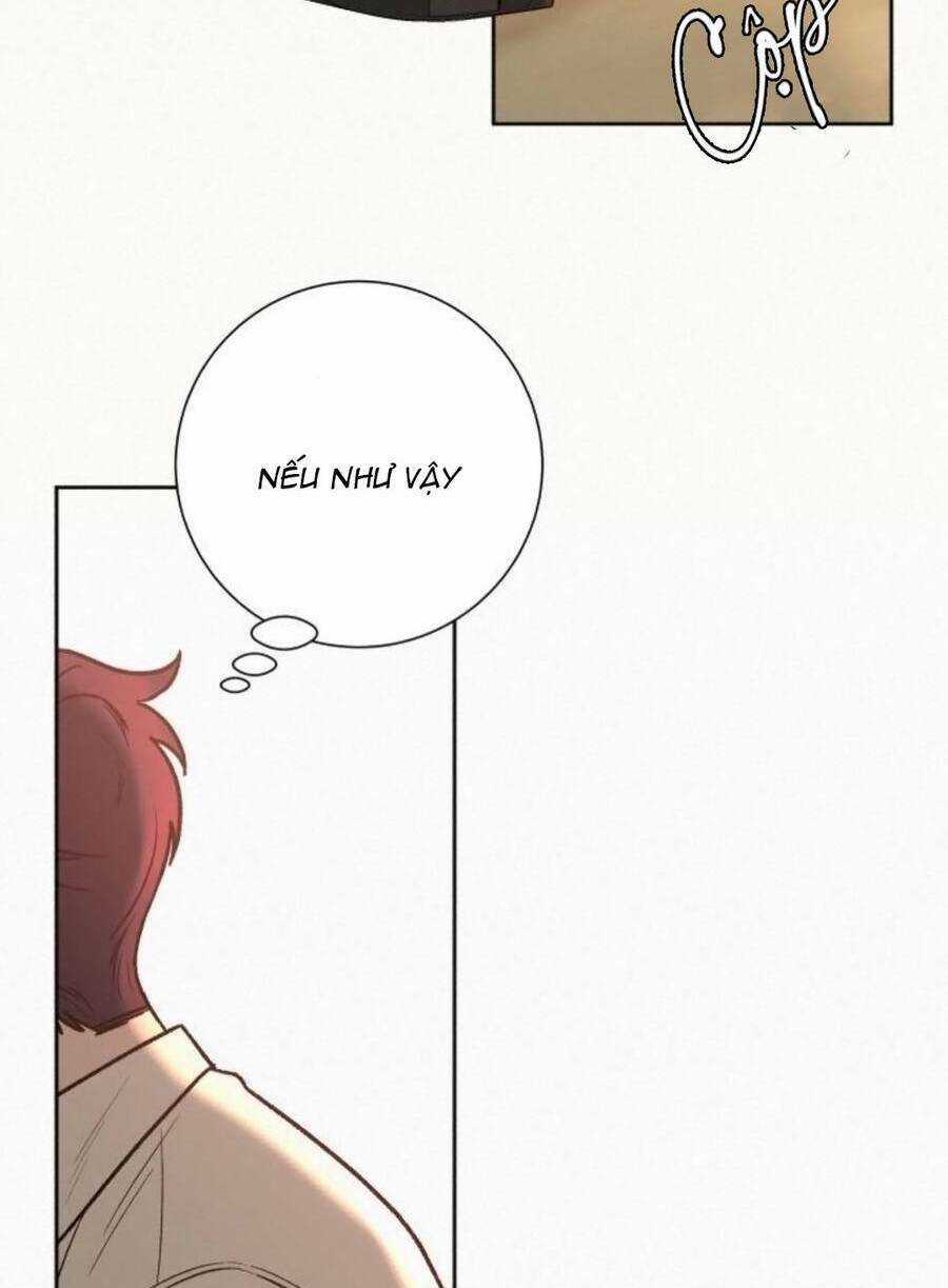 Kế Hoạch Tình Yêu Trong Sáng Chapter 41 trang 141