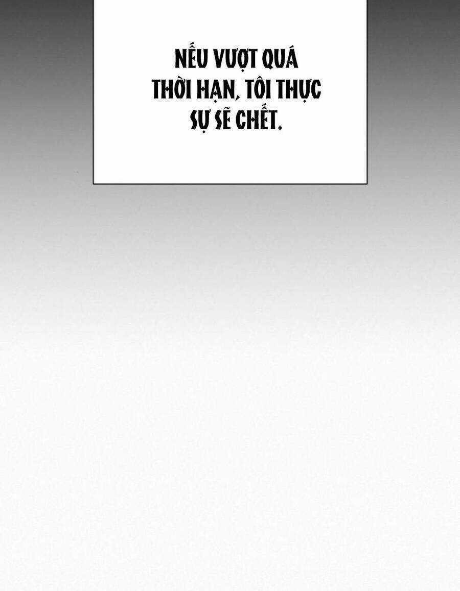 Kế Hoạch Tình Yêu Trong Sáng Chapter 41 trang 83