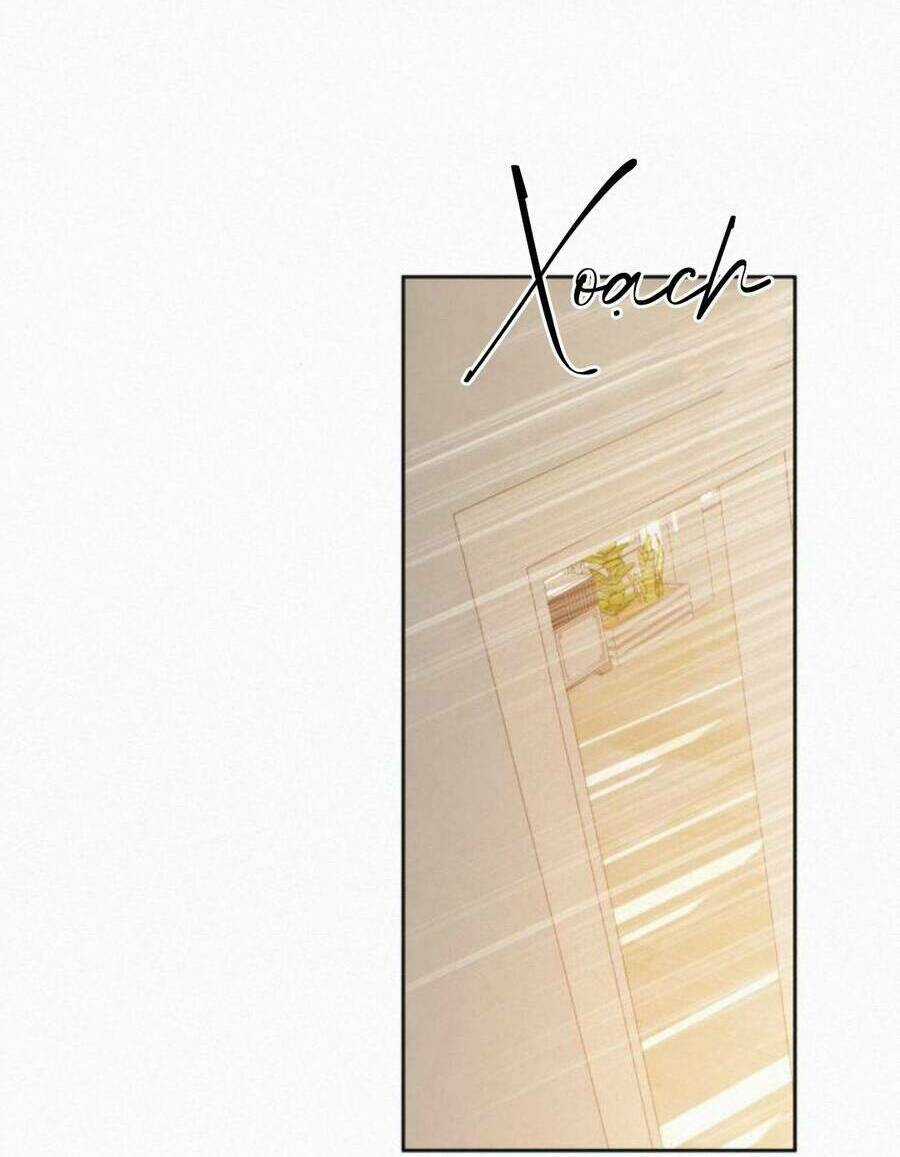 Kế Hoạch Tình Yêu Trong Sáng Chapter 41 trang 84