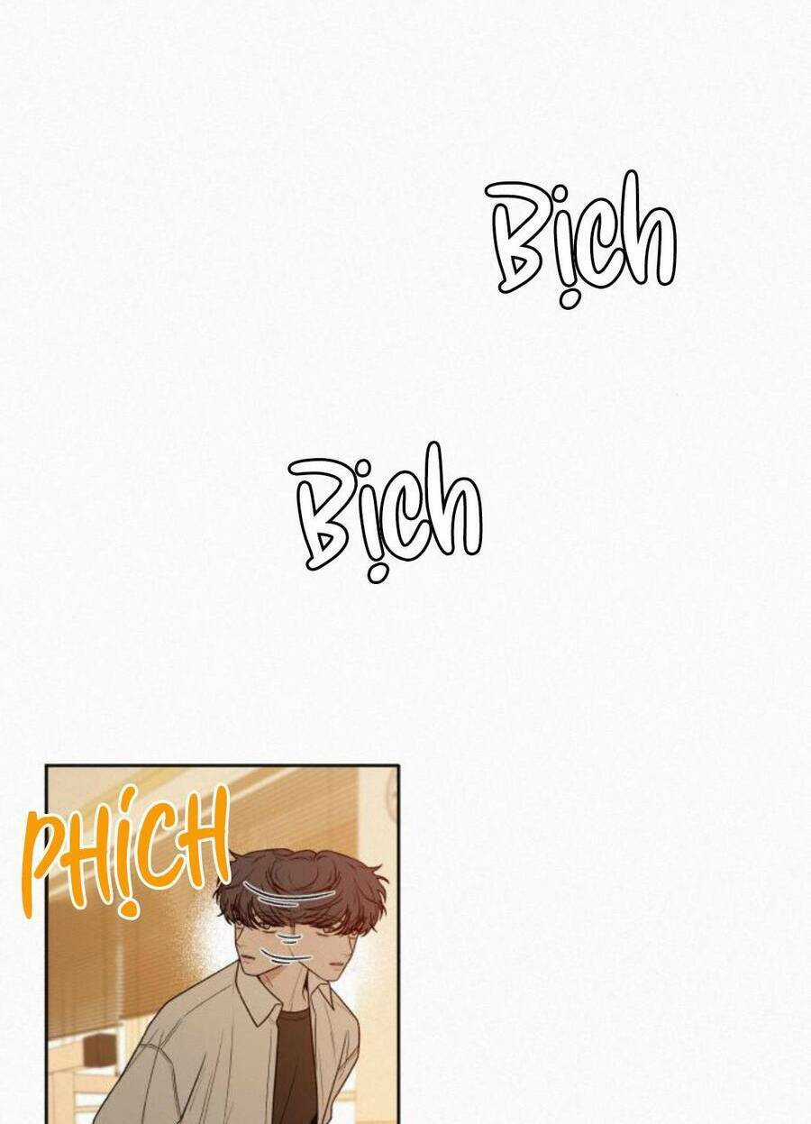 Kế Hoạch Tình Yêu Trong Sáng Chapter 41 trang 86