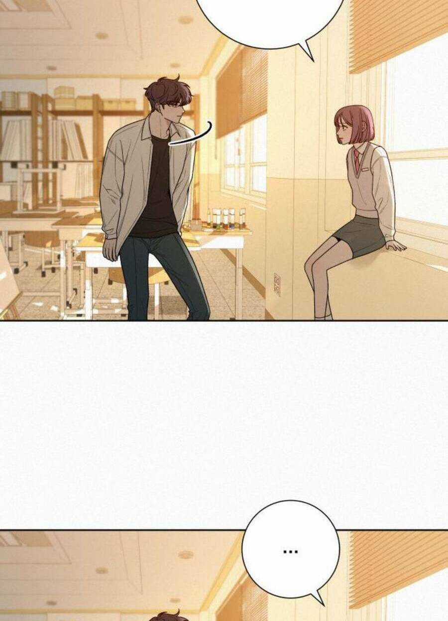 Kế Hoạch Tình Yêu Trong Sáng Chapter 41 trang 88