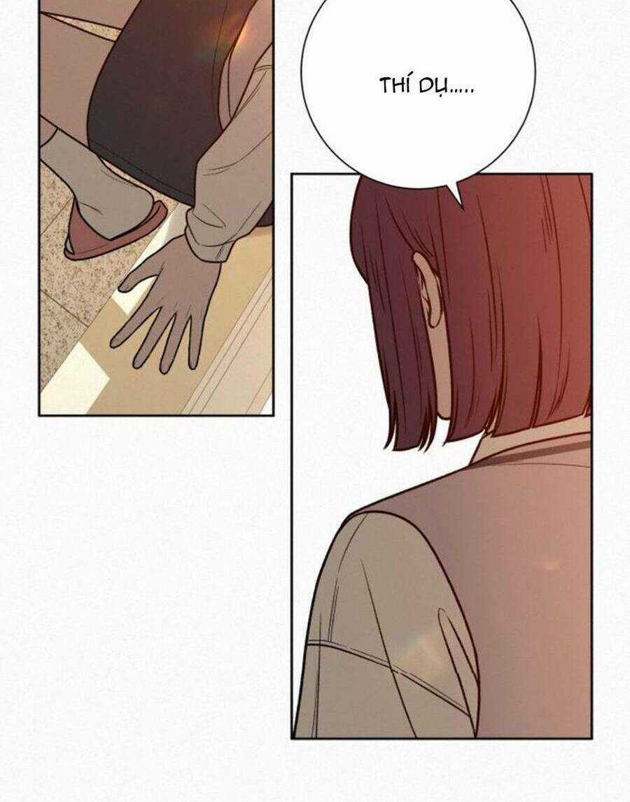 Kế Hoạch Tình Yêu Trong Sáng Chapter 41 trang 98