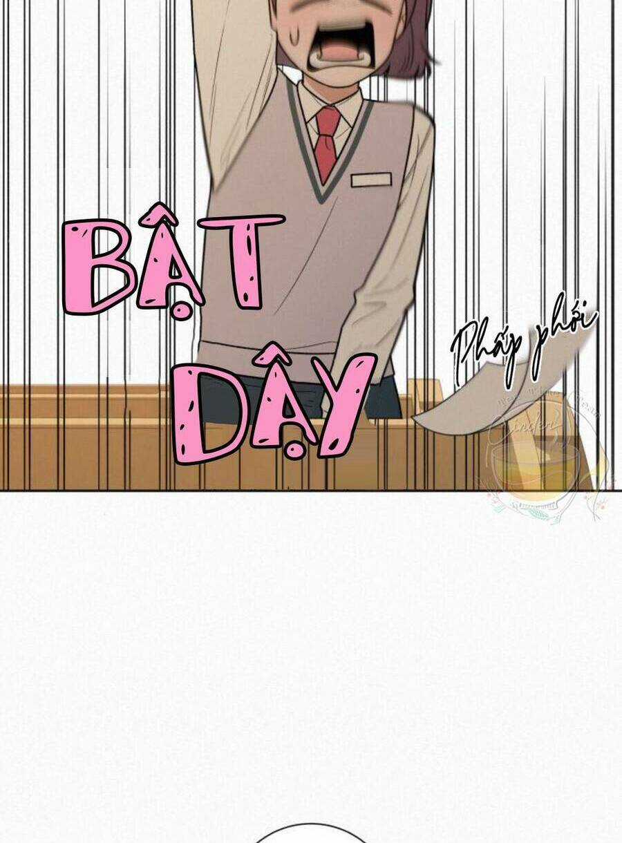 Kế Hoạch Tình Yêu Trong Sáng Chapter 42 trang 38