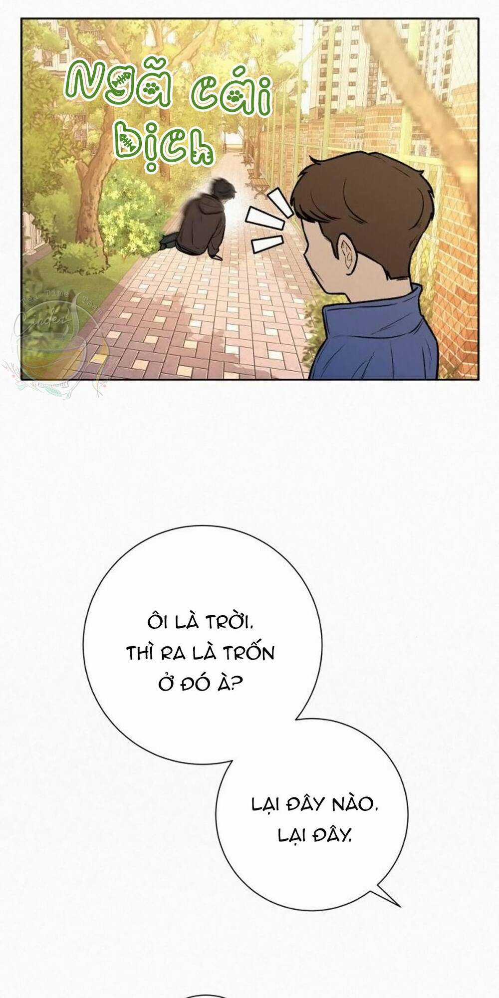 Kế Hoạch Tình Yêu Trong Sáng Chapter 44 trang 101