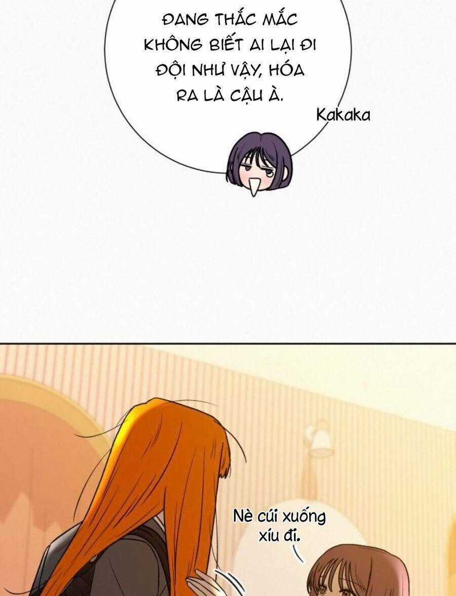 Kế Hoạch Tình Yêu Trong Sáng Chapter 45 trang 105