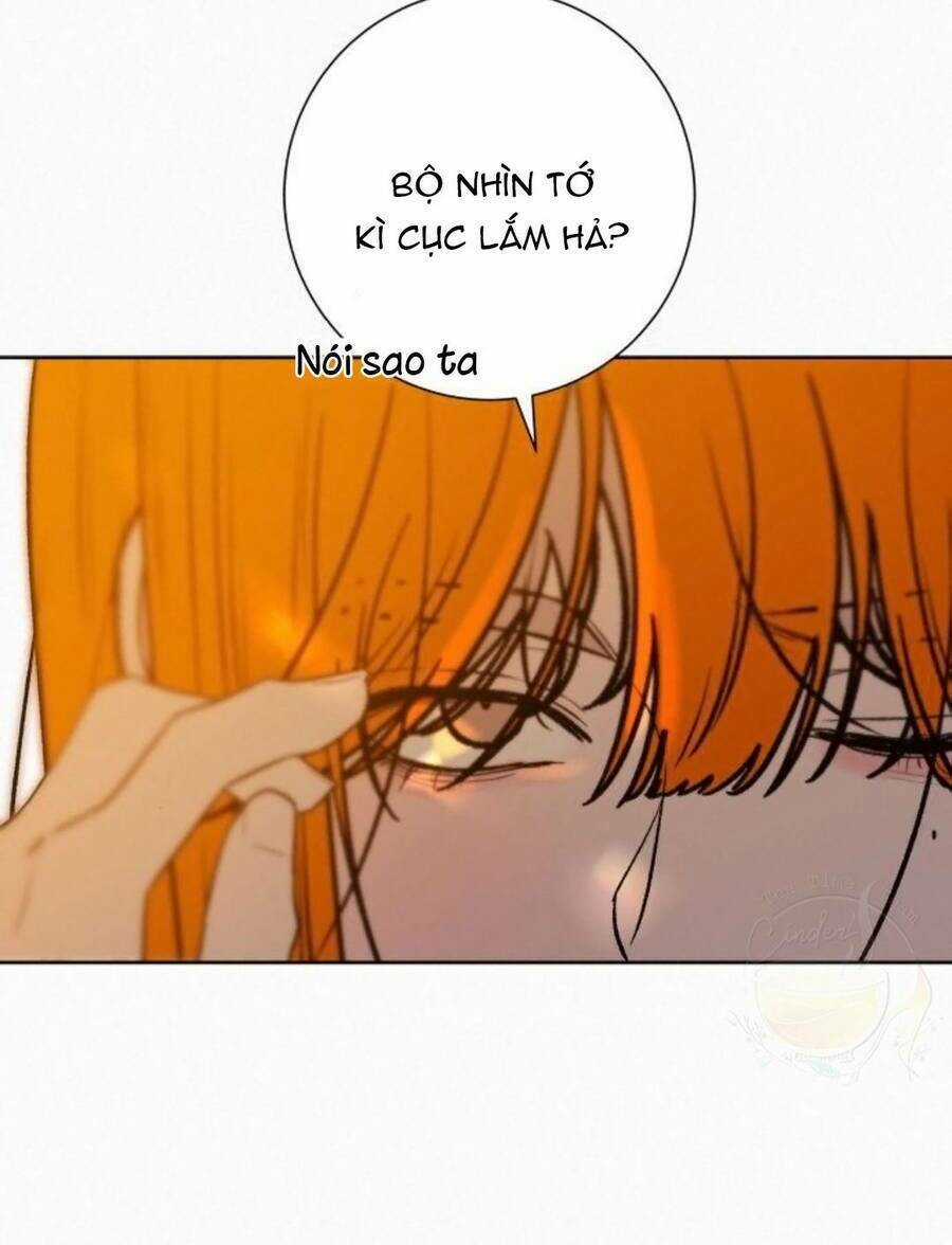 Kế Hoạch Tình Yêu Trong Sáng Chapter 45 trang 108