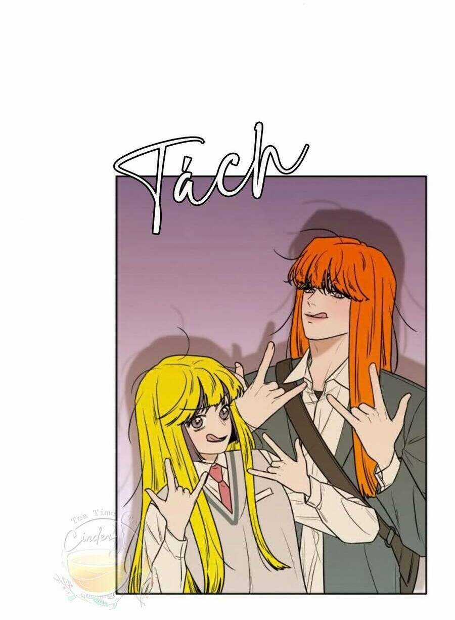 Kế Hoạch Tình Yêu Trong Sáng Chapter 45 trang 114