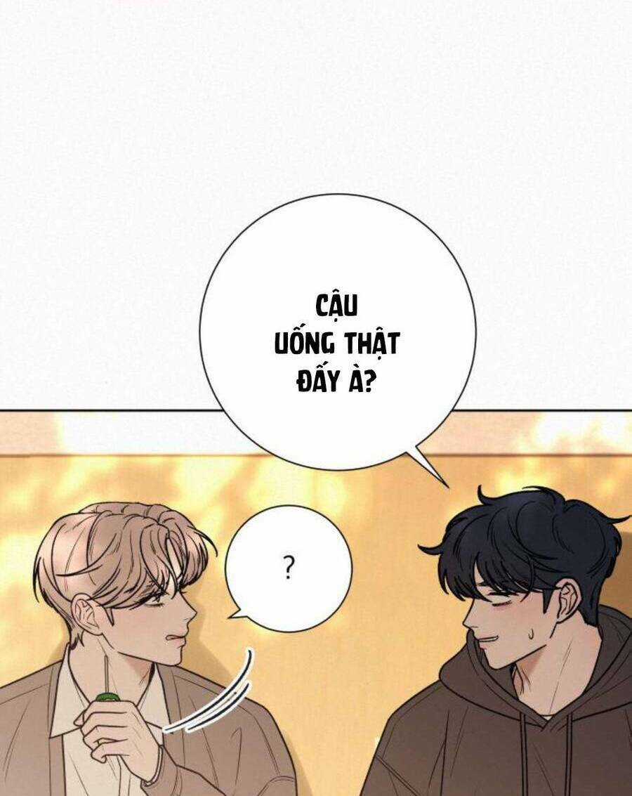 Kế Hoạch Tình Yêu Trong Sáng Chapter 45 trang 45