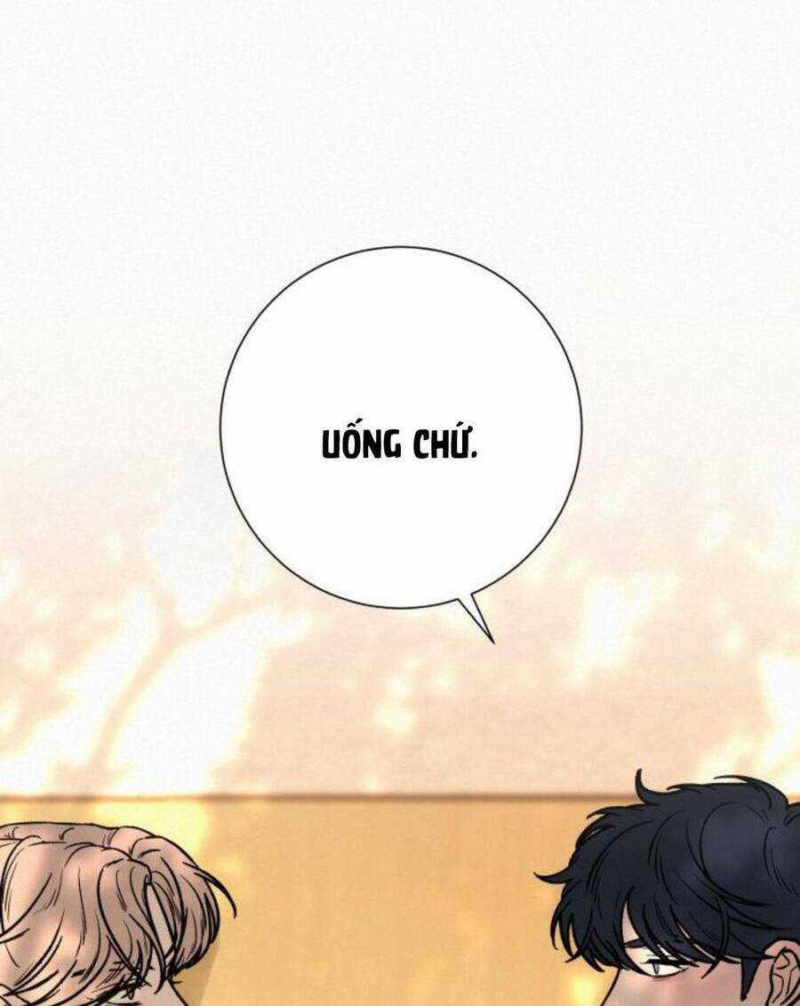 Kế Hoạch Tình Yêu Trong Sáng Chapter 45 trang 49