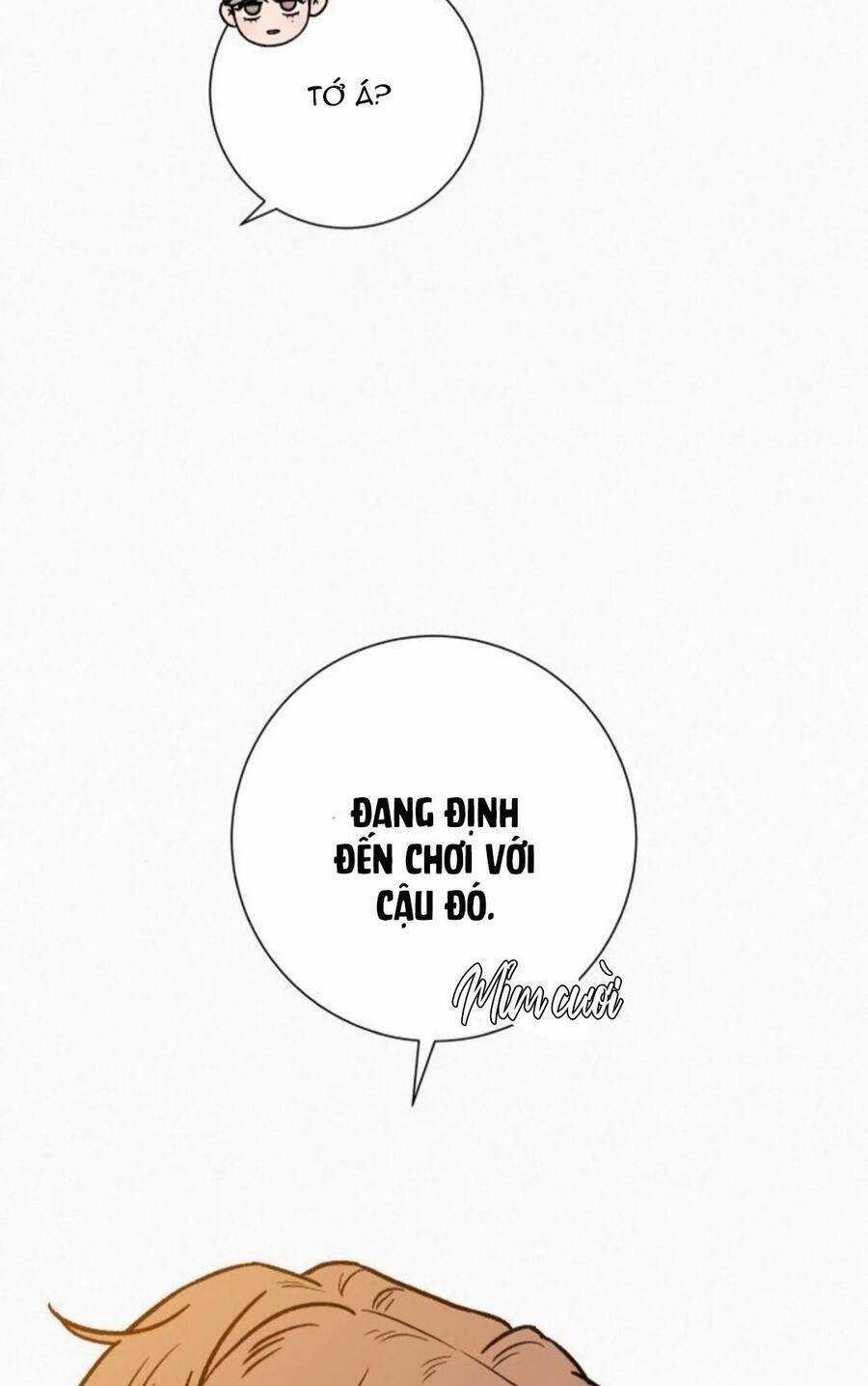 Kế Hoạch Tình Yêu Trong Sáng Chapter 45 trang 91