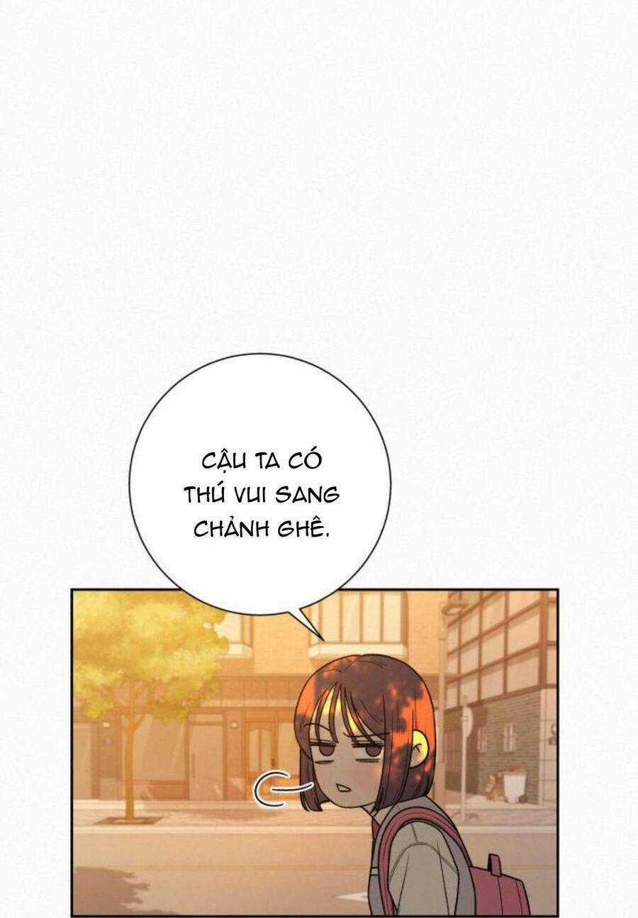 Kế Hoạch Tình Yêu Trong Sáng Chapter 46 trang 71