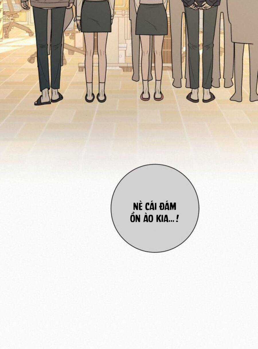 Kế Hoạch Tình Yêu Trong Sáng Chapter 47 trang 88