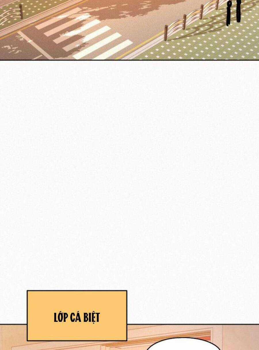 Kế Hoạch Tình Yêu Trong Sáng Chapter 47 trang 92