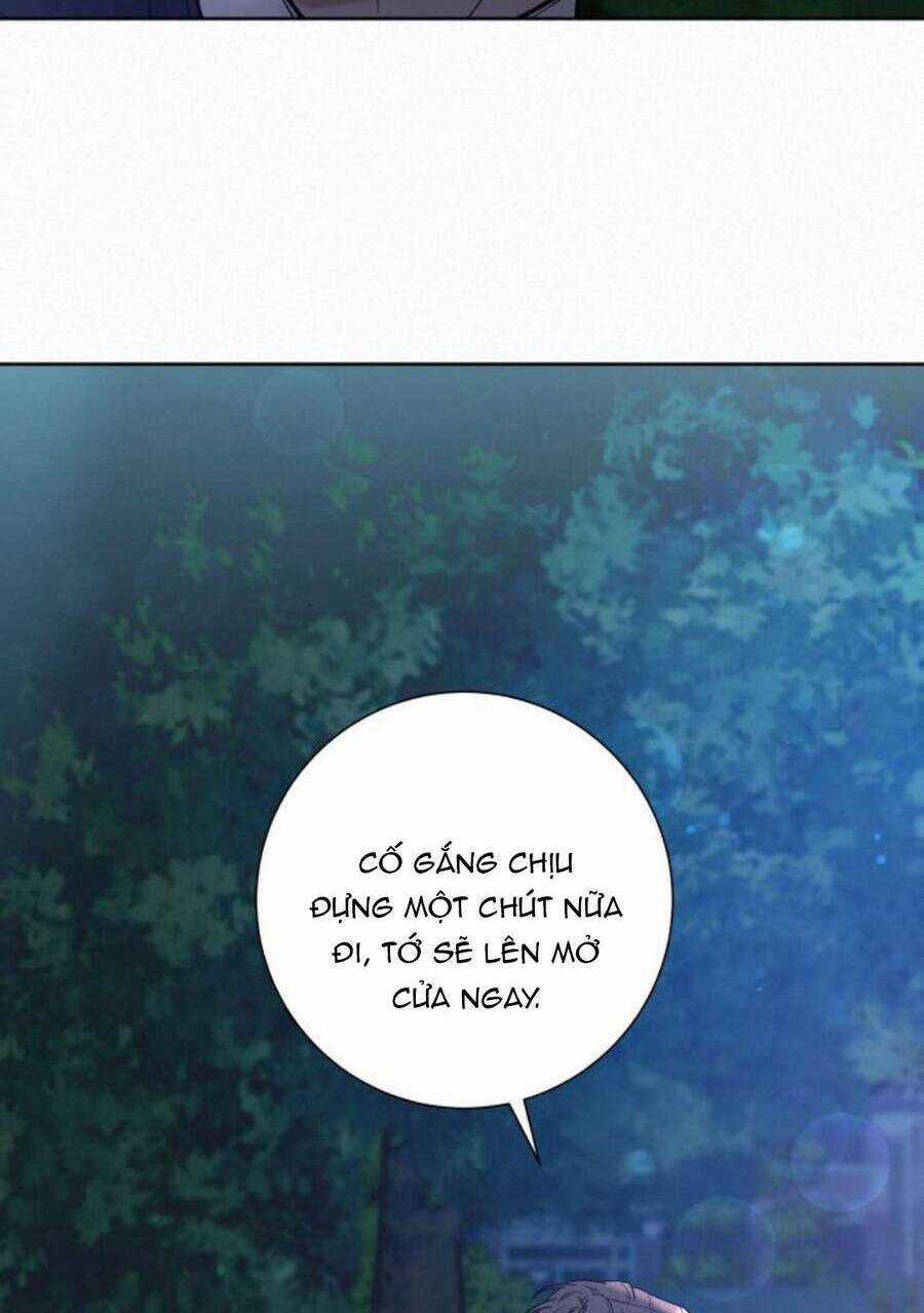 Kế Hoạch Tình Yêu Trong Sáng Chapter 48 trang 101