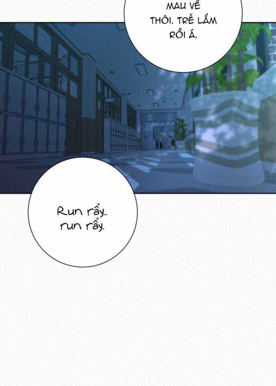 Kế Hoạch Tình Yêu Trong Sáng Chapter 48 trang 109