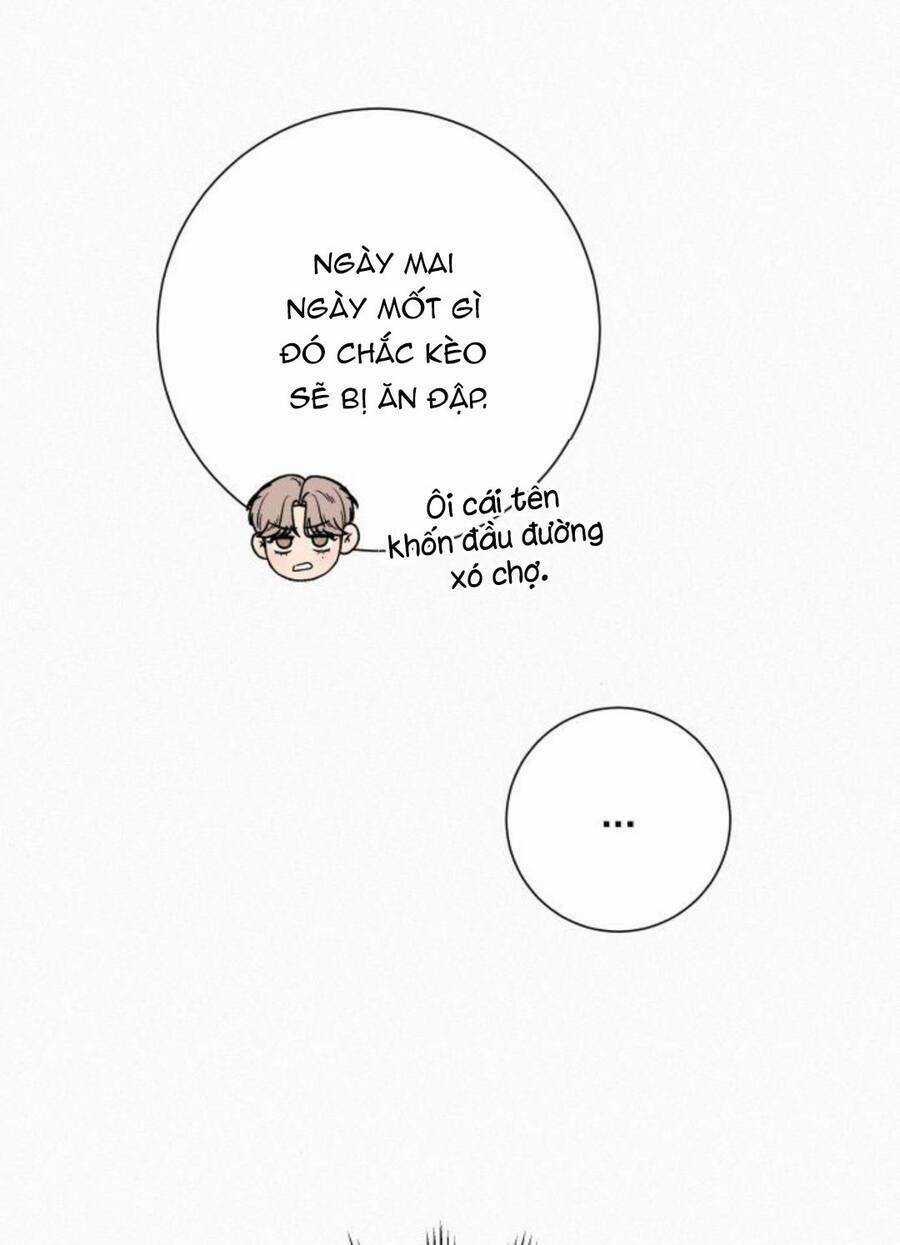 Kế Hoạch Tình Yêu Trong Sáng Chapter 48 trang 13