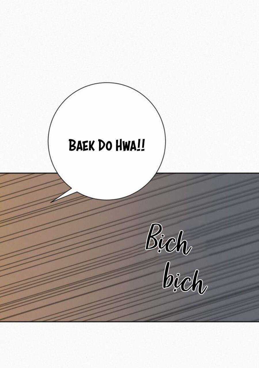 Kế Hoạch Tình Yêu Trong Sáng Chapter 48 trang 95