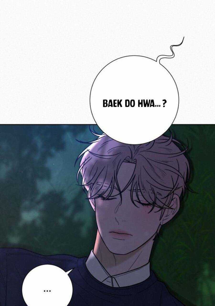 Kế Hoạch Tình Yêu Trong Sáng Chapter 48 trang 99