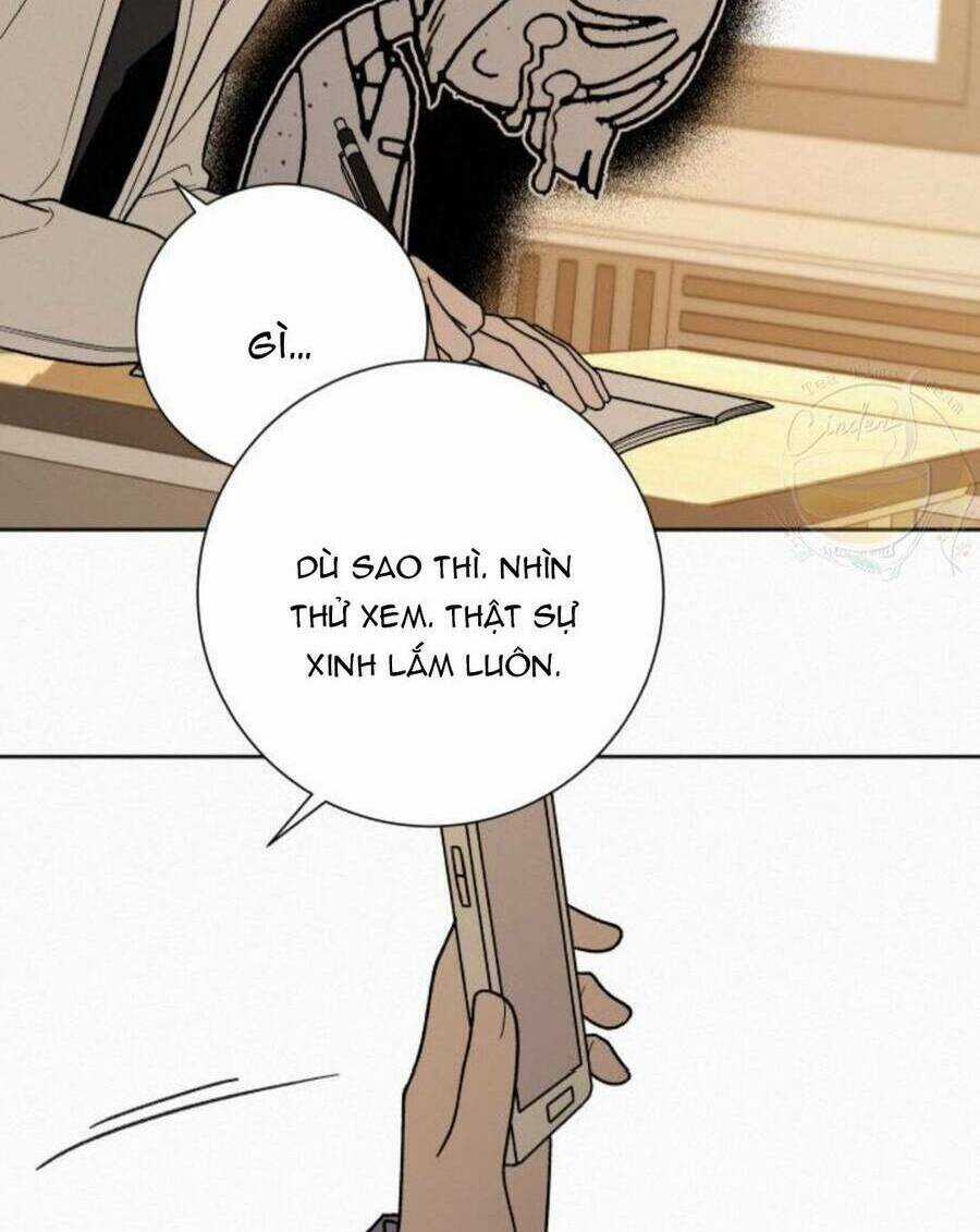 Kế Hoạch Tình Yêu Trong Sáng Chapter 49 trang 116