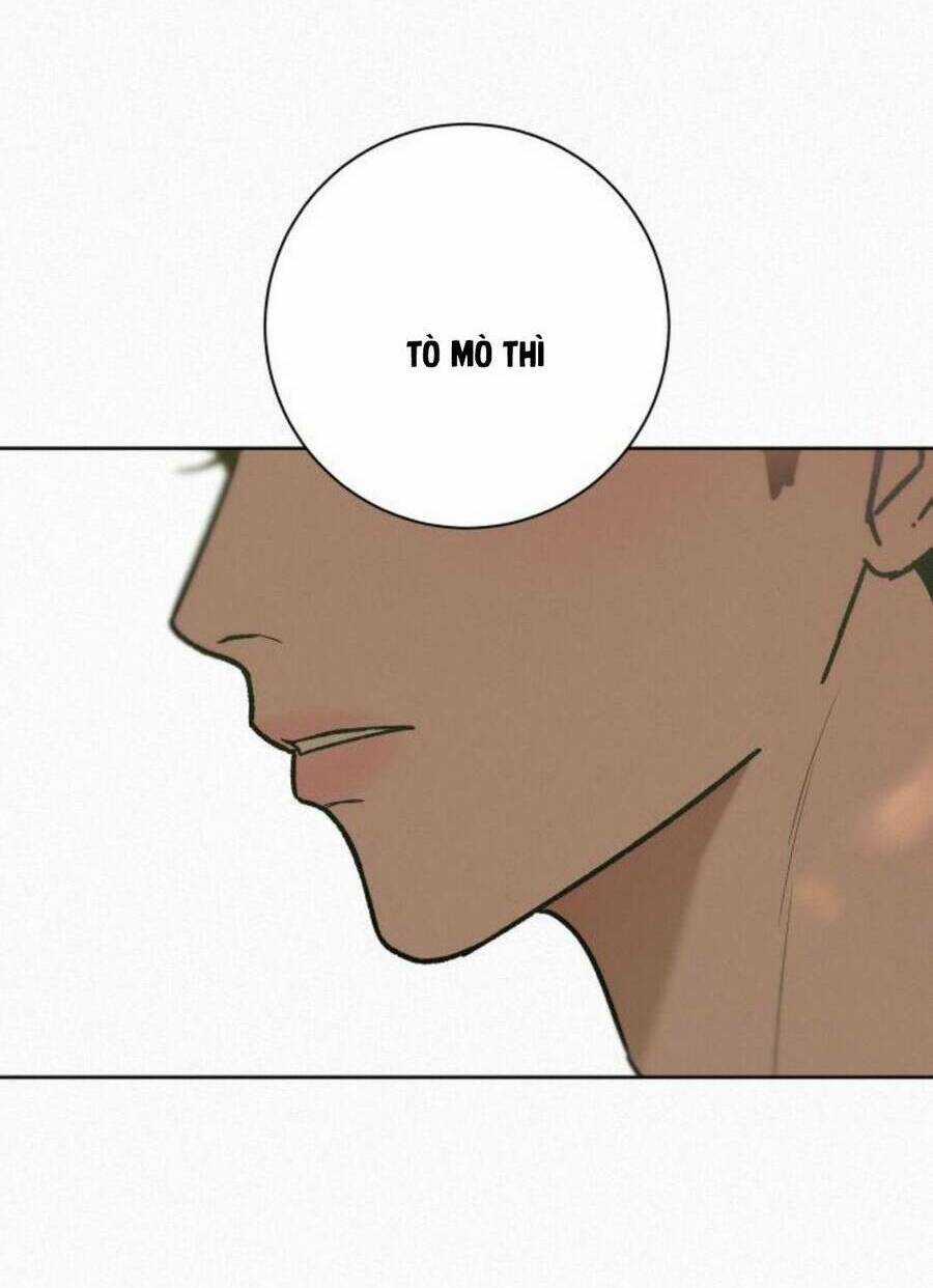 Kế Hoạch Tình Yêu Trong Sáng Chapter 50 trang 100