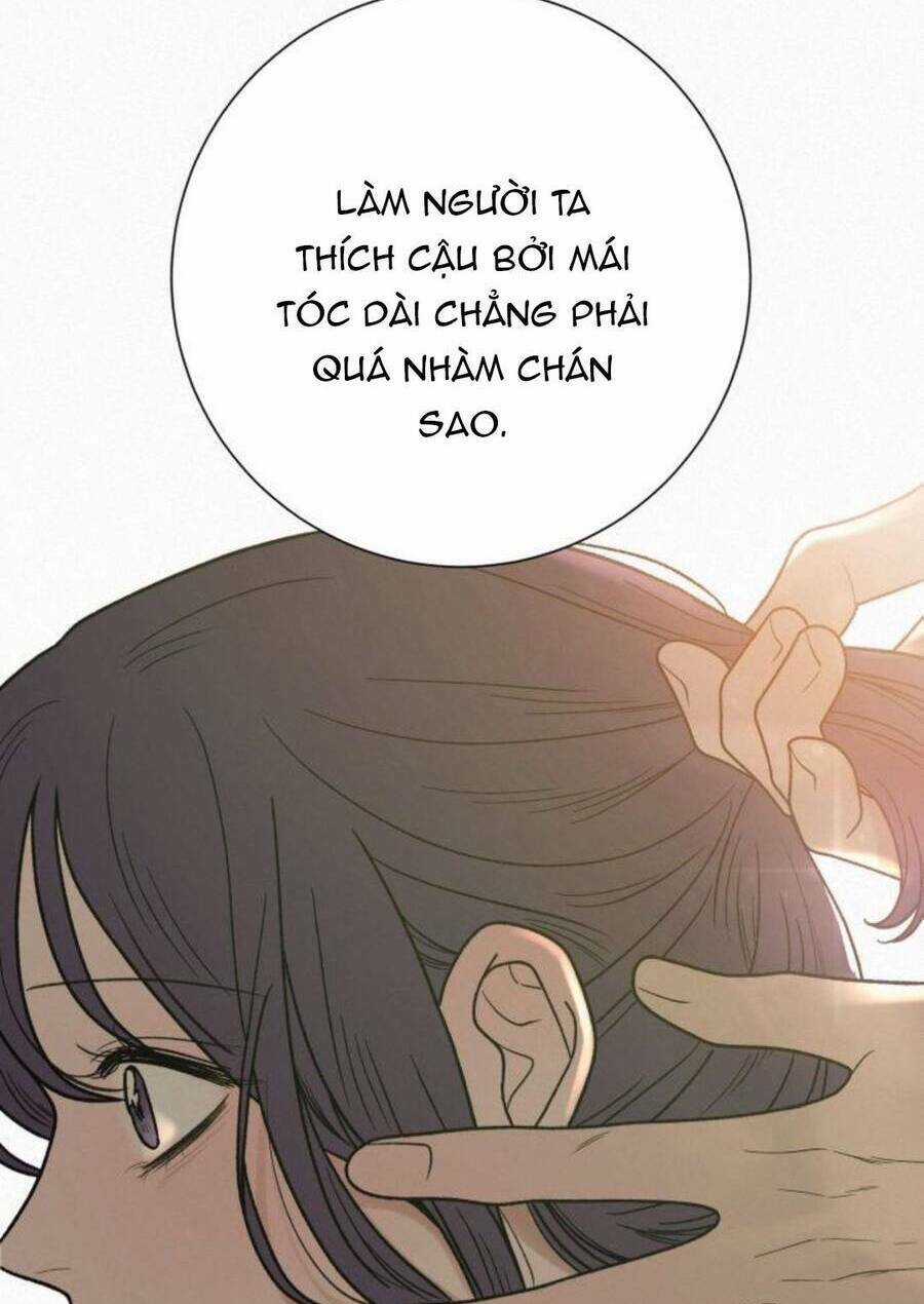 Kế Hoạch Tình Yêu Trong Sáng Chapter 50 trang 109