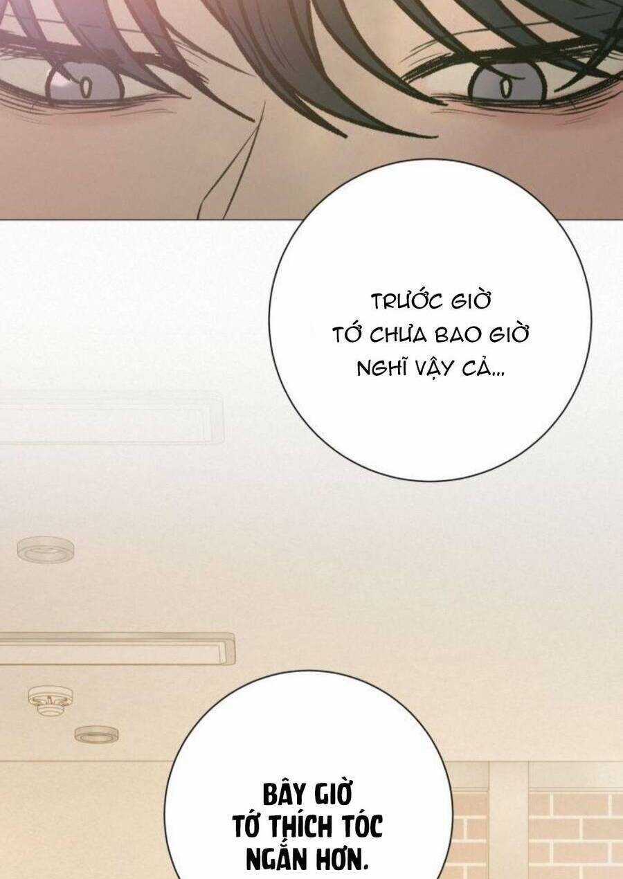 Kế Hoạch Tình Yêu Trong Sáng Chapter 50 trang 113