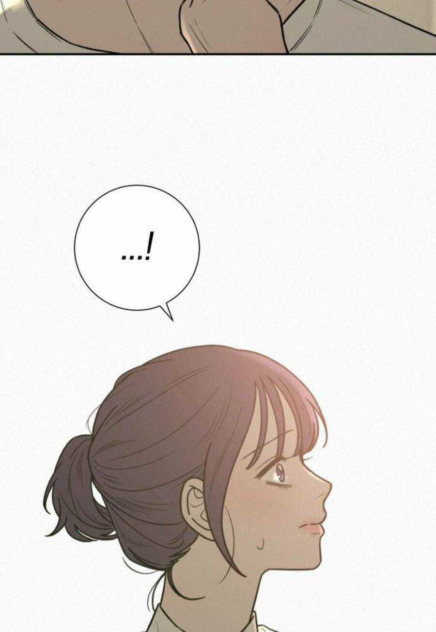 Kế Hoạch Tình Yêu Trong Sáng Chapter 50 trang 118