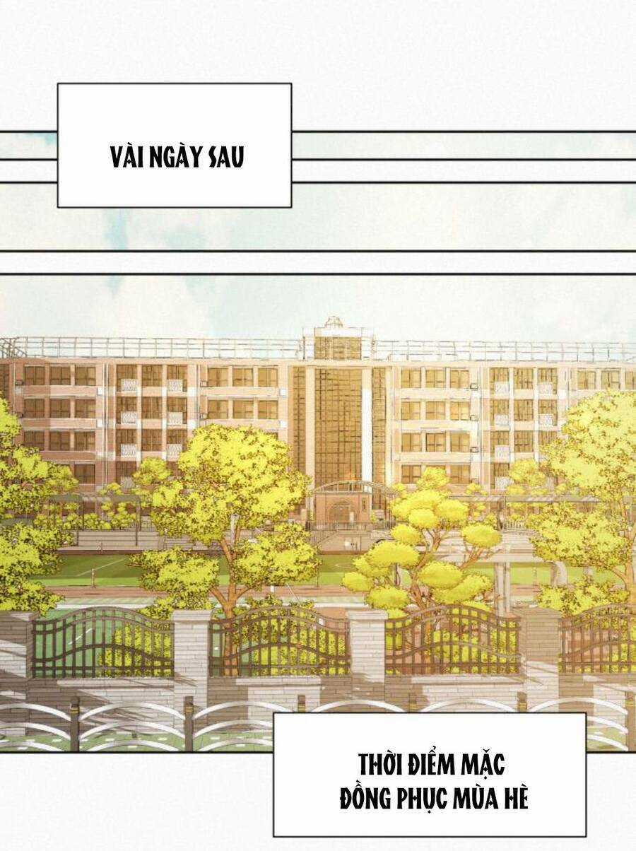 Kế Hoạch Tình Yêu Trong Sáng Chapter 50 trang 23