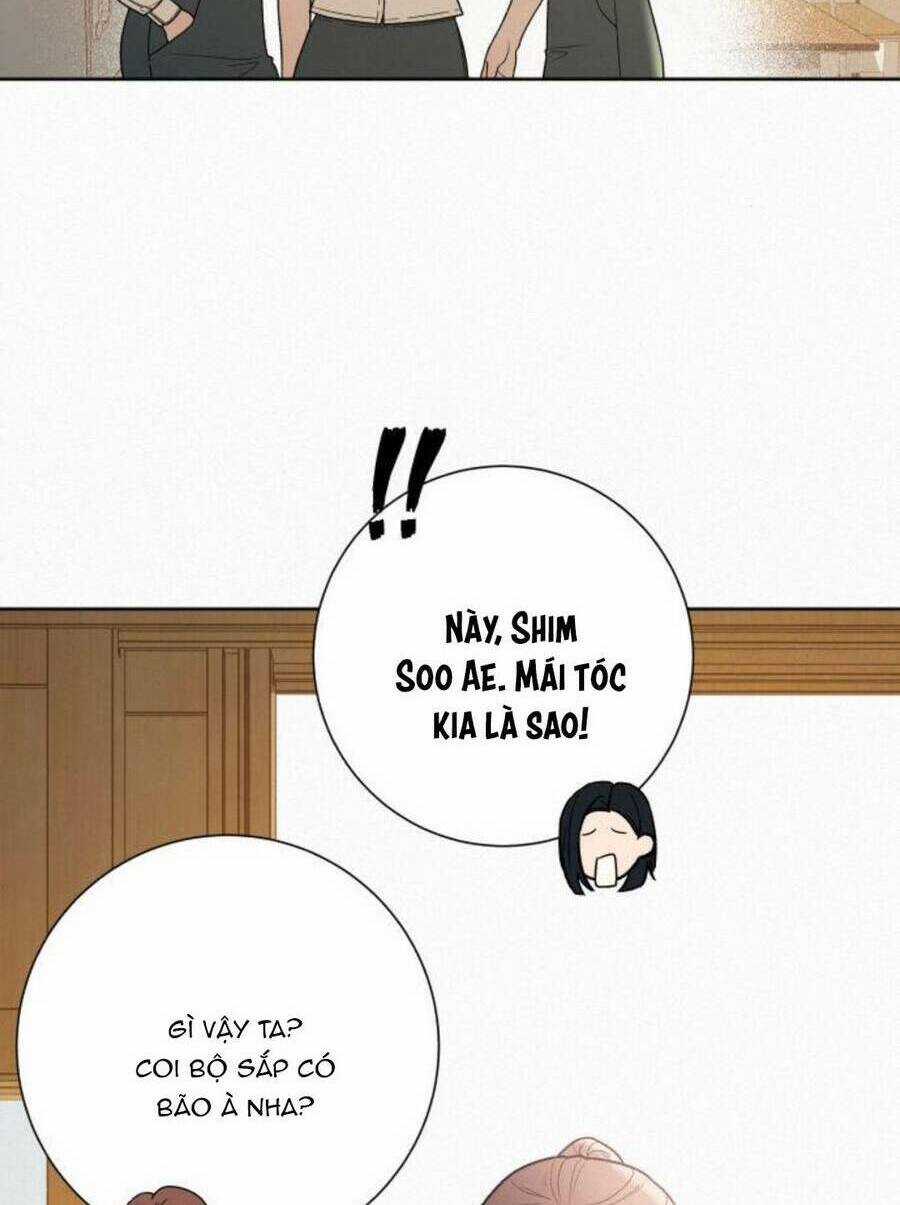 Kế Hoạch Tình Yêu Trong Sáng Chapter 50 trang 28