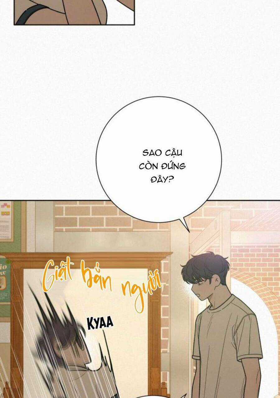 Kế Hoạch Tình Yêu Trong Sáng Chapter 50 trang 86