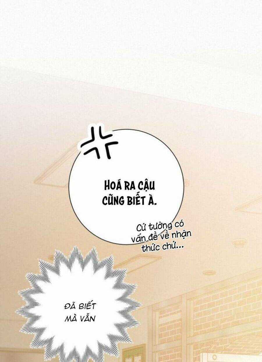 Kế Hoạch Tình Yêu Trong Sáng Chapter 50 trang 96