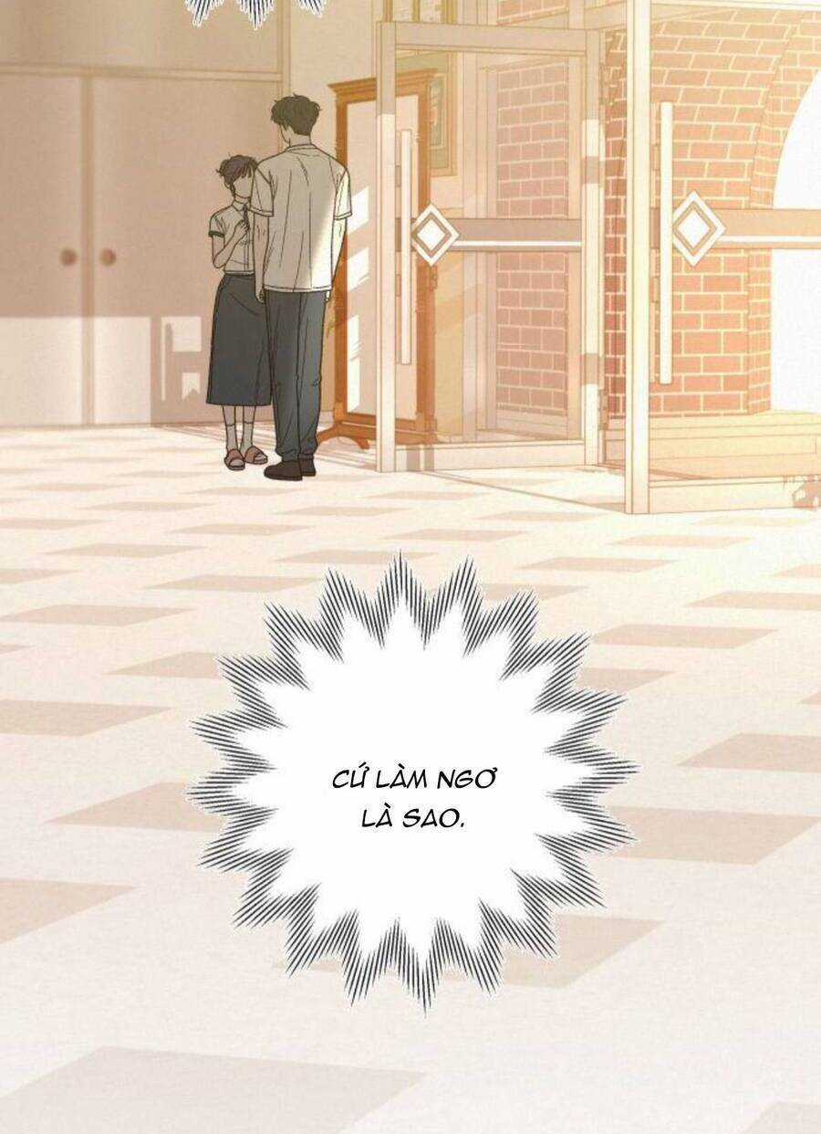 Kế Hoạch Tình Yêu Trong Sáng Chapter 50 trang 97