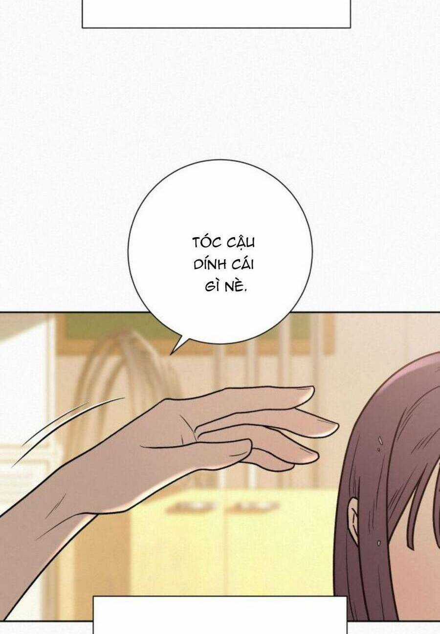 Kế Hoạch Tình Yêu Trong Sáng Chapter 51 trang 106