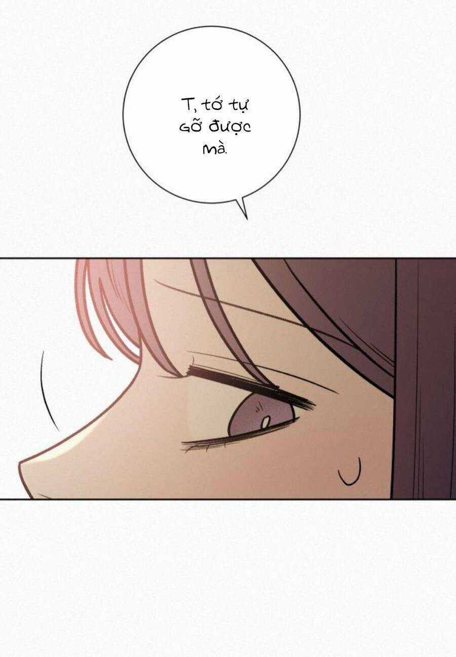 Kế Hoạch Tình Yêu Trong Sáng Chapter 51 trang 110