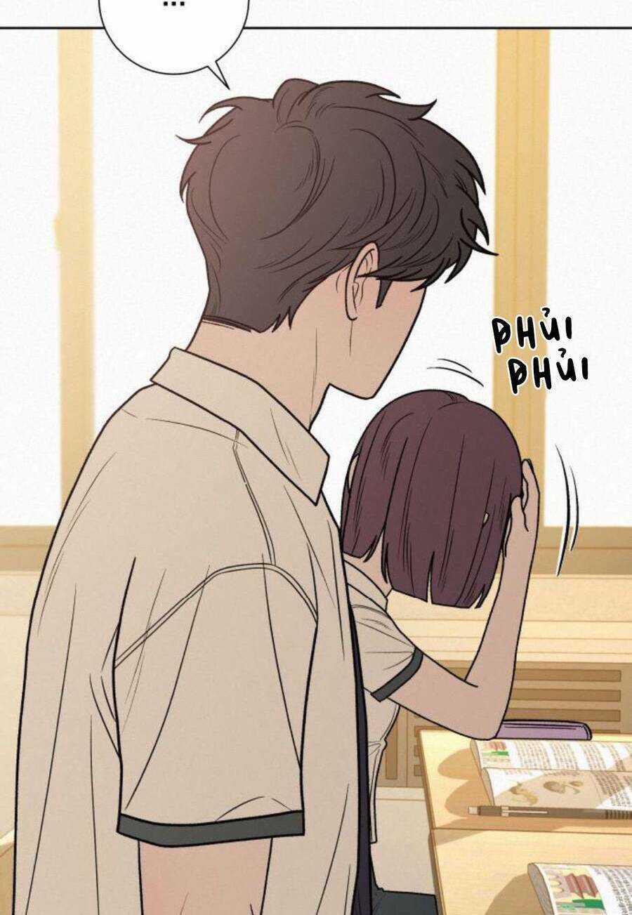 Kế Hoạch Tình Yêu Trong Sáng Chapter 51 trang 113