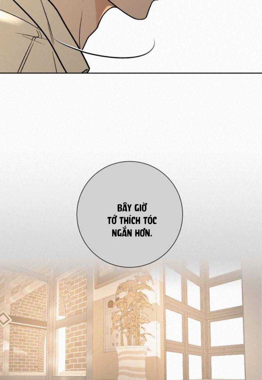 Kế Hoạch Tình Yêu Trong Sáng Chapter 51 trang 115