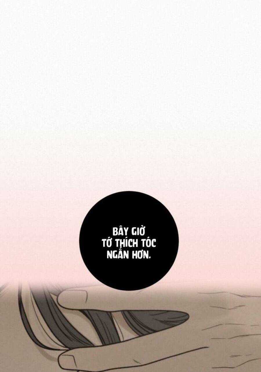 Kế Hoạch Tình Yêu Trong Sáng Chapter 51 trang 37