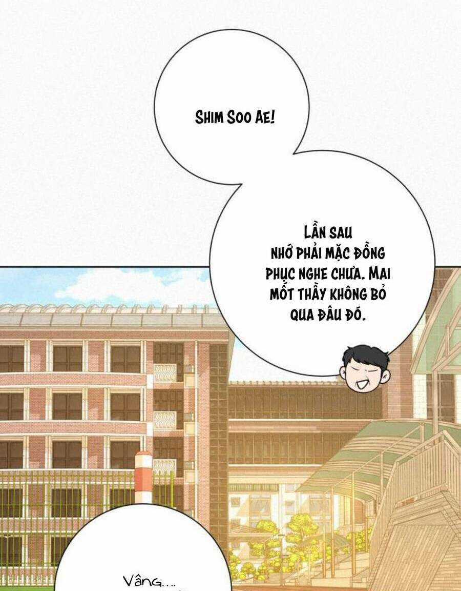 Kế Hoạch Tình Yêu Trong Sáng Chapter 51 trang 4