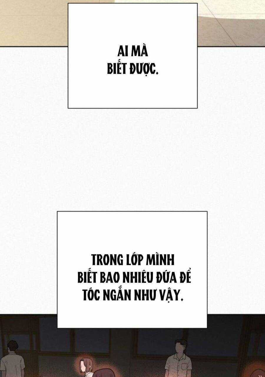 Kế Hoạch Tình Yêu Trong Sáng Chapter 51 trang 40